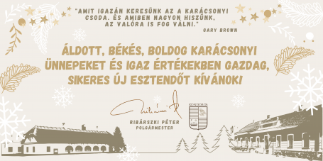 Áldott, békés, boldog Karácsonyi Ünnepeket kívánok!